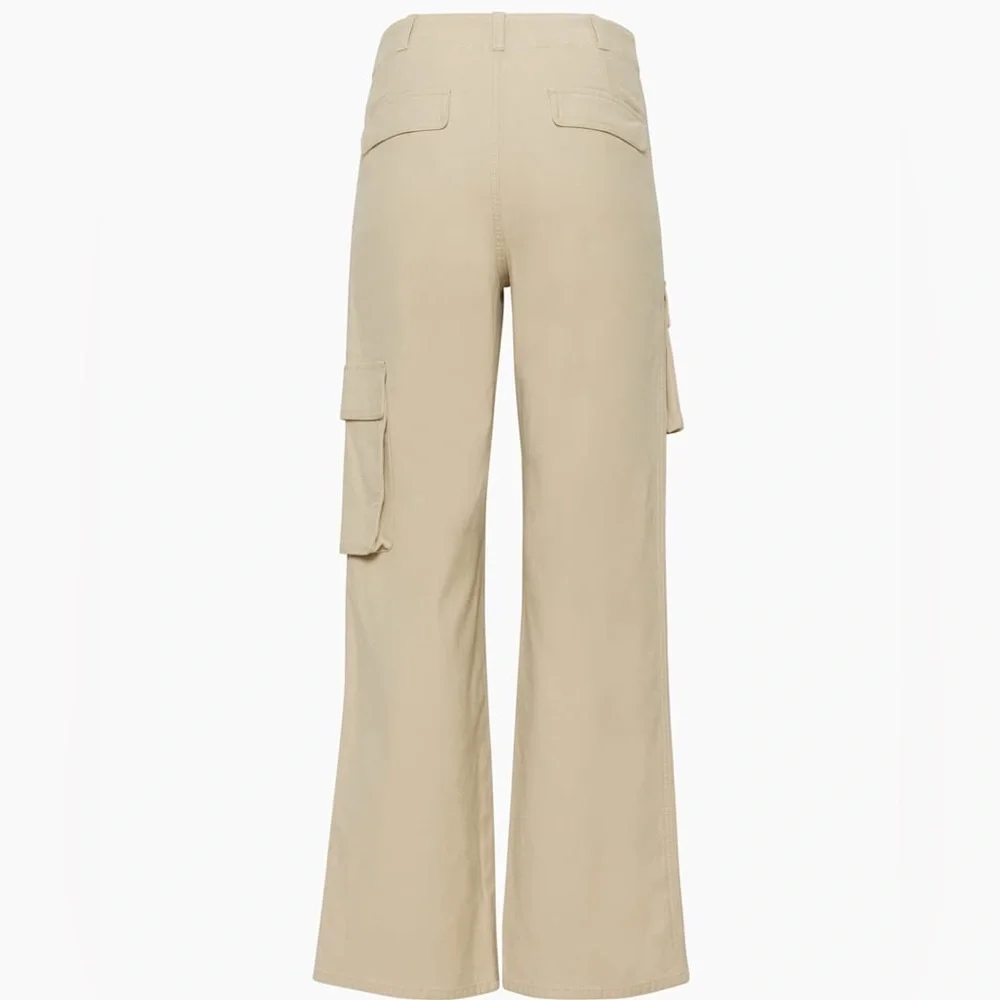 Aritzia Wilfred Free Picture Cargo Pants